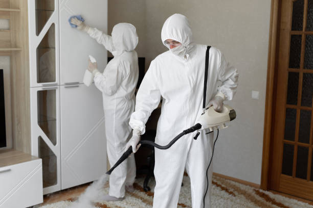 Trusted Sewage Cleanup service in Maysville, KY - Four Month Blood Cleanse